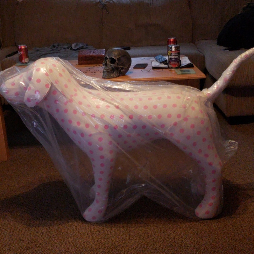 Victorias Secret PINK dog